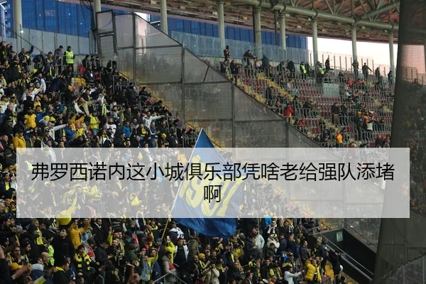 弗罗西诺内这小城俱乐部凭啥老给强队添堵啊 | leyu
