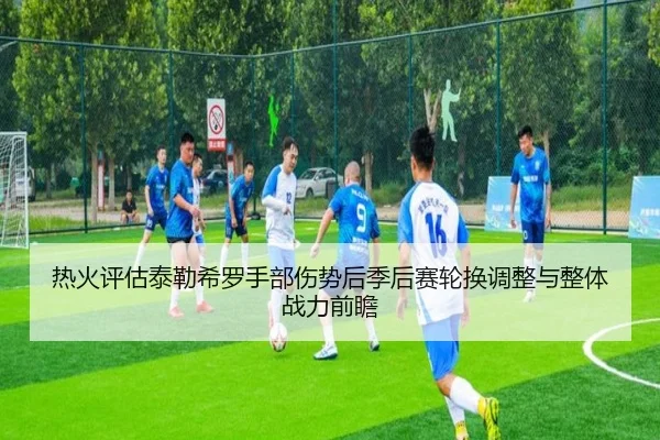 热火评估泰勒希罗手部伤势后季后赛轮换调整与整体战力前瞻 | leyu