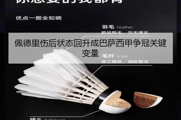 佩德里伤后状态回升成巴萨西甲争冠关键变量 | leyu